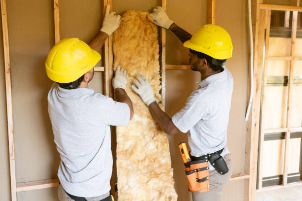 Best Attic Insulation Installation  in Ogden, NC